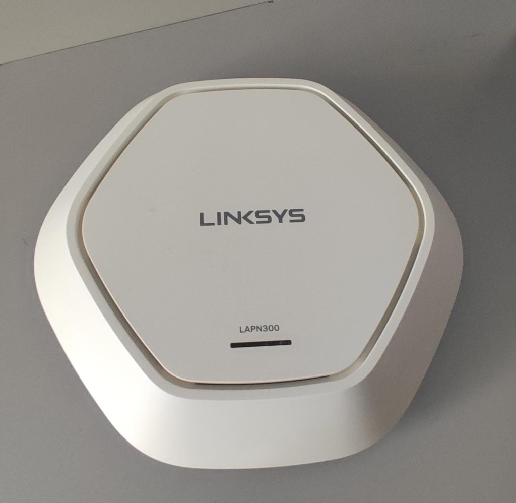 ACCESS POINT LAPN300